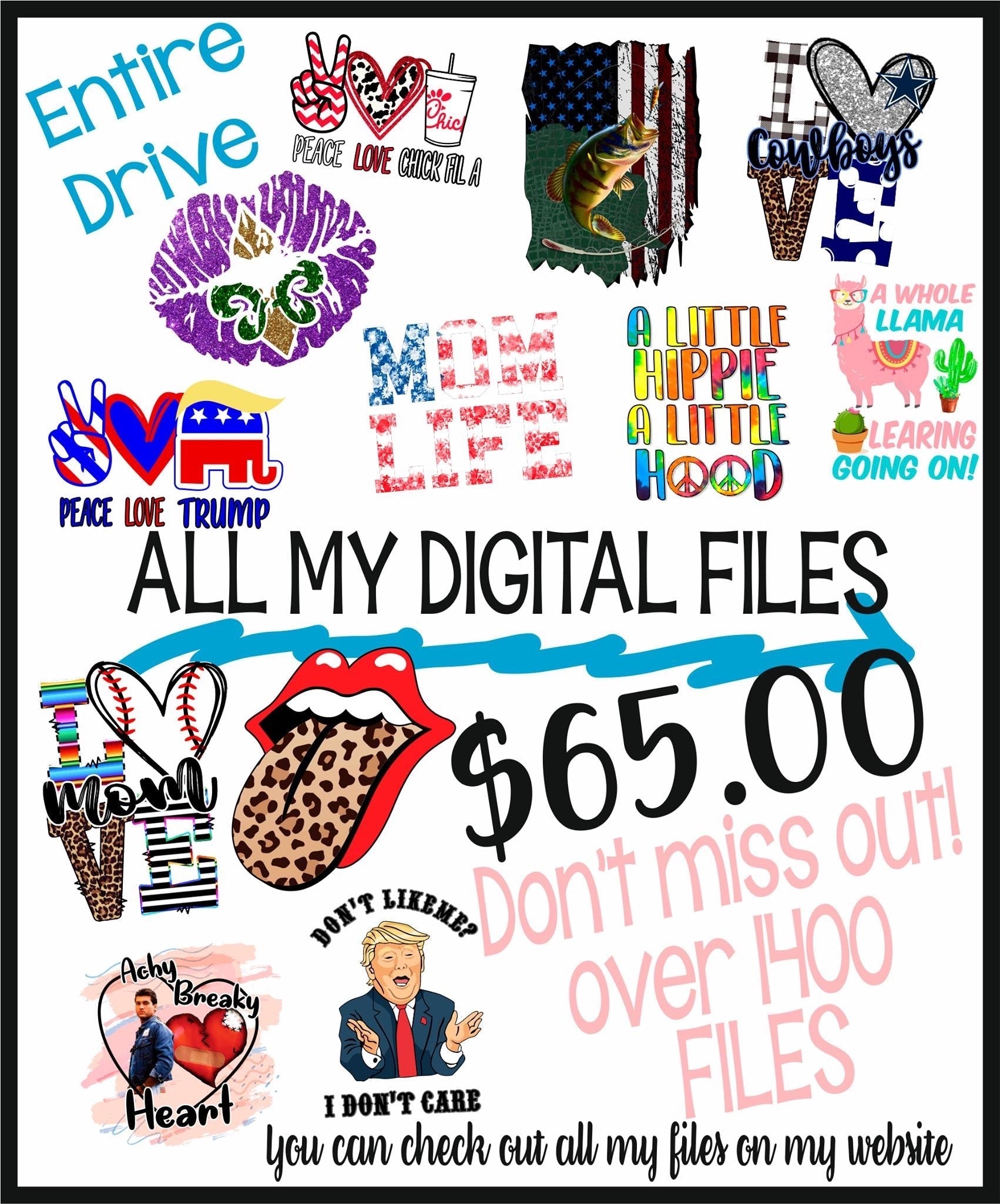 2020 drive 1400 files Digital Download Instant Download NO DISCOUNTS ALLOWED - Do it yourself Transfers